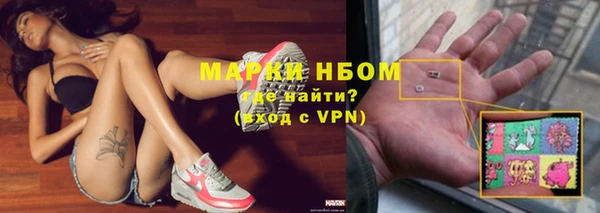 амф Белокуриха
